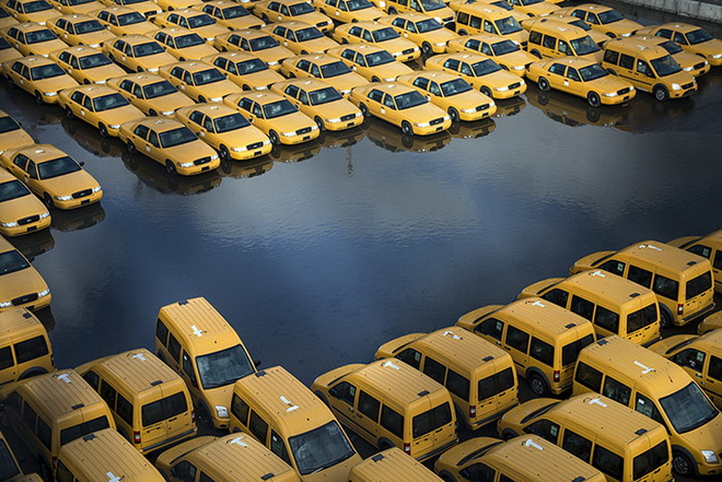 Những bức ảnh xuất sắc nhất năm 2012 11
