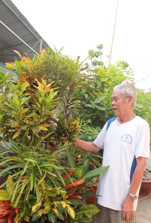 Độc đáo vườn kiểng cây 5 trái, hoa 7 màu 1