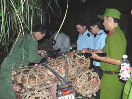 Trước ngày 20/1, ban hành Hướng dẫn xử lý các vụ vận chuyển, kinh doanh gia cầm nhập lậu 1