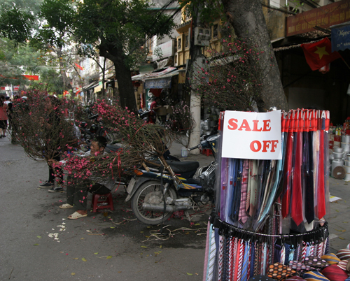 Chợ hoa thành nơi xả hàng 10