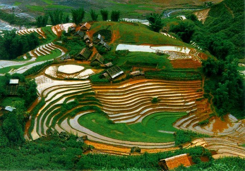 Ngày Xuân cùng nói chuyện Xuân 1 Ngày Xuân cùng nói chuyện Xuân 1