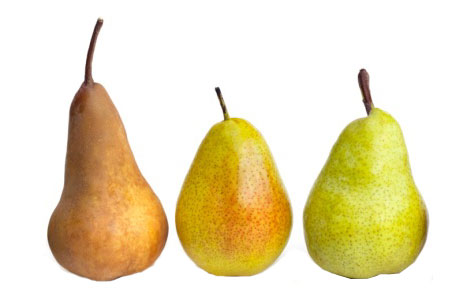 5 thực phẩm giúp giảm cân hiệu quả 4