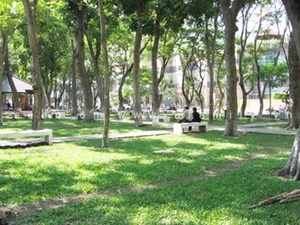 Không khí lạnh suy yếu, miền Bắc hửng nắng 1