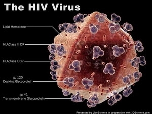 Phát hiện độc tố giúp cải thiện sự miễn dịch với HIV 1