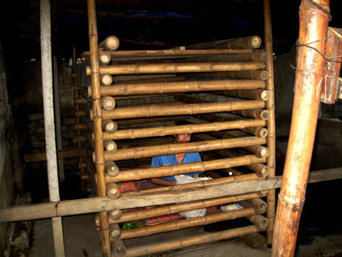 Những phận người trong cũi 4