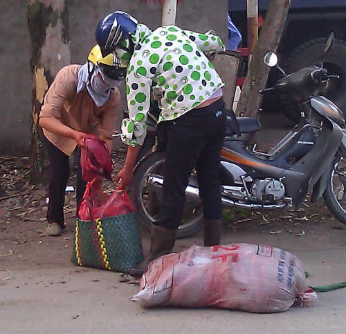 Tiết lộ kinh hoàng của 'đồ tể': lợn tai xanh làm chả, ruốc 1