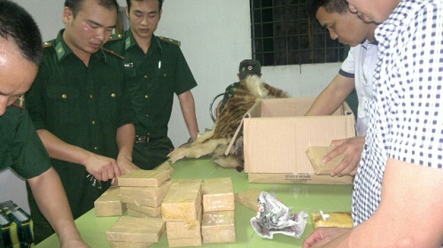 Quảng Ninh: Bắt giữ 40 bánh heroin và triệt phá đường dây buôn người  1