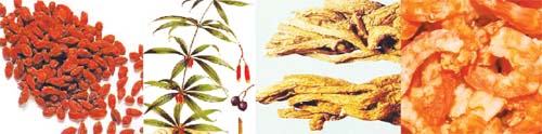 Món ăn bài thuốc tốt cho phụ nữ lãnh cảm 1 Món ăn bài thuốc tốt cho phụ nữ lãnh cảm 1