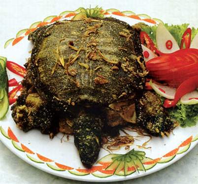 3 món ăn từ ba ba giúp chàng dũng mãnh