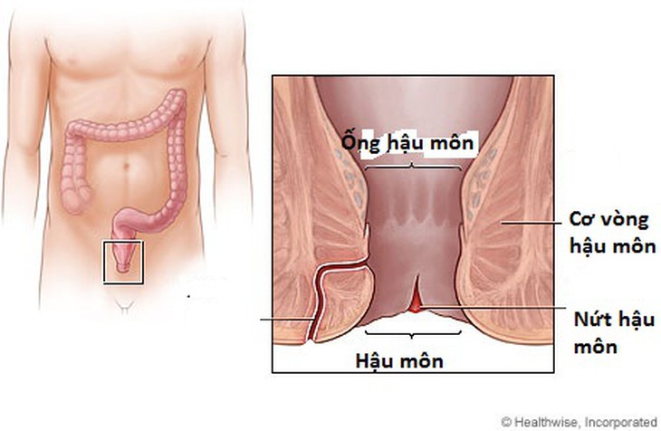 Thuốc điều trị bệnh nứt hậu môn