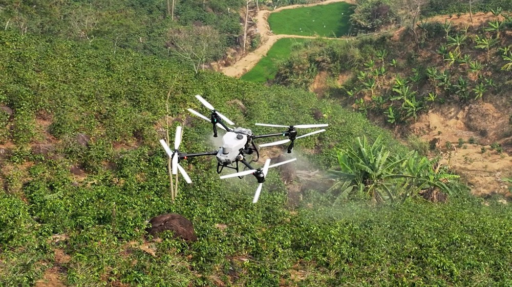 UAV gùi cà phê, phun thuốc trừ sâu, vận chuyển thuốc giữa núi rừng Điện Biên - Ảnh 6.
