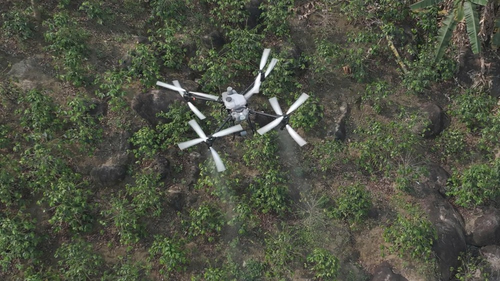 UAV gùi cà phê, phun thuốc trừ sâu, vận chuyển thuốc giữa núi rừng Điện Biên - Ảnh 8.