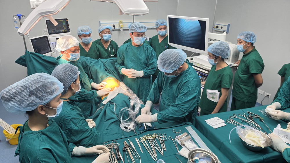 Nhịp cầu 65 năm Báo Sức khỏe và Đời sống: Từ trang báo đến mùa xuân trên rẻo cao - Ảnh 7.