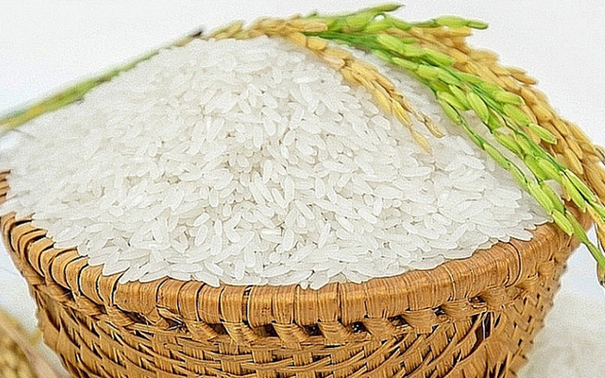 Bộ Sưu Tập Hình Ảnh Gạo Cực Chất Full 4K – Hơn 999 hình ảnh gạo đẹp