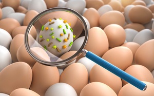 12 lưu ý khi mua, bảo quản và chế biến trứng để bảo đảm sức khoẻ