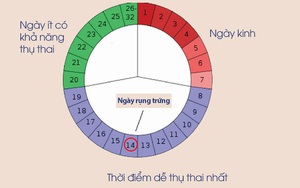 Thời điểm nào phụ nữ dễ thụ thai nhất?