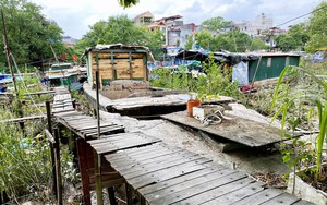 Hình ảnh &quot;xóm nhà thuyền&quot; ở Hải Phòng sau khi lên bờ 