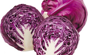 Bắp cải tím - 'Chiến binh' bảo vệ sức khỏe con người