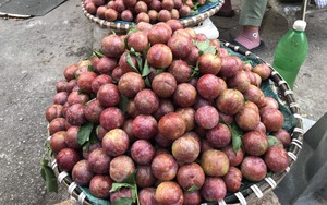 Quả mận ngon, giàu chất chống oxy hóa nhưng nên ăn thế nào để không bị 'nóng'?