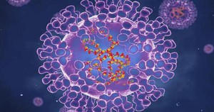 Virus đậu mùa khỉ: Đột biến nhanh gấp 12 lần so với virus thông thường