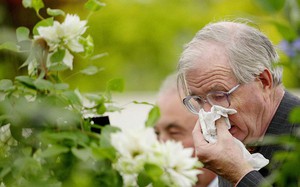 Mùa xuân người viêm mũi dị ứng cần lưu ý những điều sau