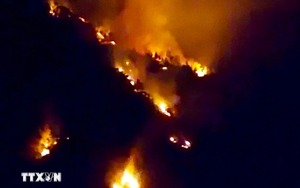 Vụ cháy rừng tại Yên Bái: Do cháy lan từ việc đốt cỏ ở bãi chăn thả gia súc