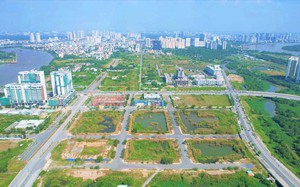 Thủ tướng chỉ đạo triển khai hiệu quả việc thi hành 3 luật liên quan đến nhà ở, đất đai