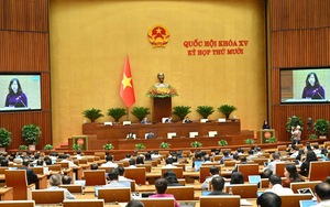 Luật Dân số: Giải pháp căn cơ để duy trì mức sinh bền vững và thích ứng với già hóa dân số