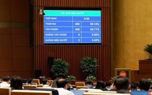 Đại đa số ĐBQH bấm nút tán thành thông qua Luật Dân số