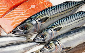 7 loại cá tốt cho sức khỏe tim mạch