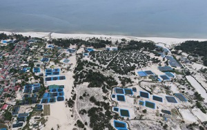 Để nghề nuôi cá lóc trên cát không 'đánh đổi môi trường lấy kinh tế'