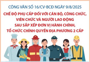 Quy định về chế độ phụ cấp đối với cán bộ, công chức, viên chức và người lao động sau sắp xếp