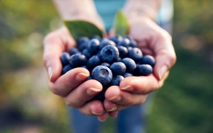 Cách ăn quả việt quất để giảm cân và bổ sung chất chống oxy hóa