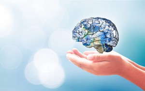 Các nhóm dưỡng chất thiết yếu giúp người làm báo tăng sức bền trước áp lực công việc - Ảnh 1.