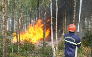 Ngày mai nắng nóng lan rộng ra toàn miền Bắc, cảnh báo nguy cơ cháy rừng