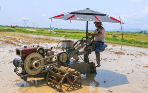 Chủ động phòng tránh say nắng, sốc nhiệt mùa nắng nóng