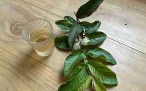Lá ổi sấy hay phơi nắng tốt hơn để pha trà? - Ảnh 3.