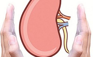 Bệnh thận mạn tính có nguy hiểm?