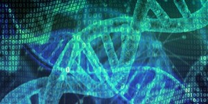 Khám phá ADN bốn sợi hỗ trợ điều trị ung thư