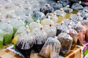 Túi nilong – Dùng sao để không bị nhiễm độc?
