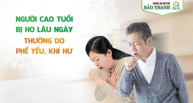 Vai trò của bổ phế trong phòng và trị ho ở người cao tuổi - Ảnh 1.