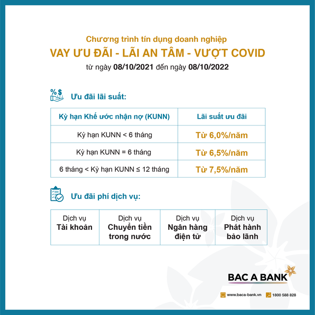 Vay ưu đãi từ BAC A Bank, doanh nghiệp an tâm vượt dịch - Ảnh 2.