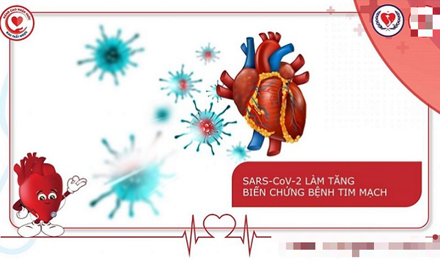 Những vấn đề tim mạch sau khi mắc COVID – 19 - Ảnh 3.