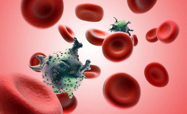 Ghép tế bào gốc không cần hóa trị hứa hẹn điều trị bệnh bạch cầu an toàn hơn - Ảnh 1.