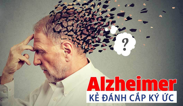 Nhận biết dấu hiệu sớm, xử trí & phòng bệnh sa sút trí tuệ Alzheimer - Ảnh 2.