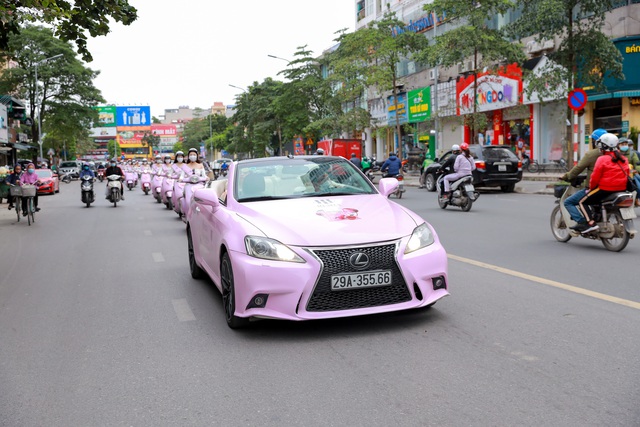 Roadshow giới thiệu sản phẩm phủ hồng tuyến phố thủ đô - Ảnh 1.