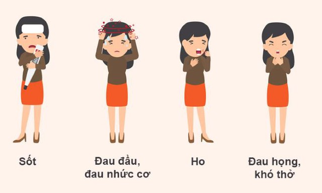 Ngân kiều tán - bài thuốc chữa bệnh truyền nhiễm cấp tính mới phát - Ảnh 1.