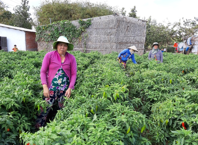 Bạc Liêu thực hiện hiệu quả các chính sách dân tộc - Ảnh 2.