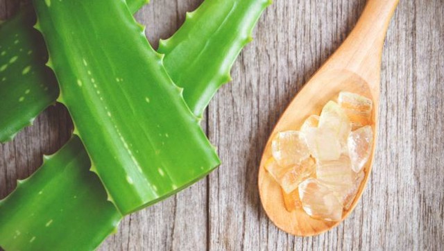 Mùa đông, da vẫn trắng hồng nhờ bí quyết truyền thống Ấn Độ