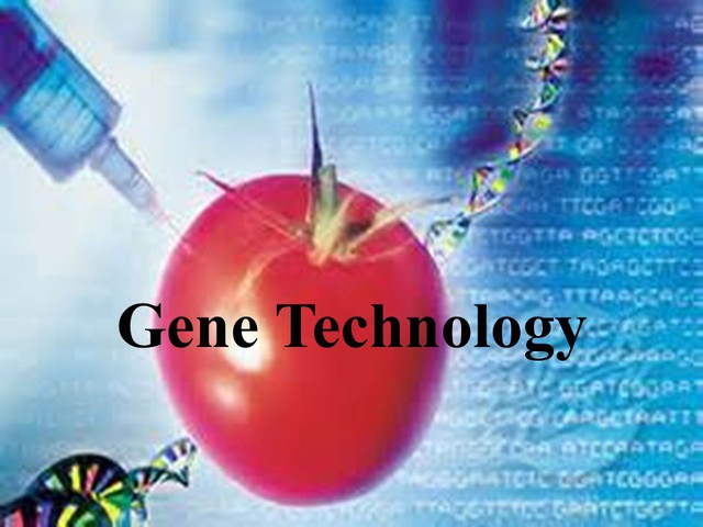 Ứng dụng công nghệ gene di truyền trong y khoa - Ảnh 2.